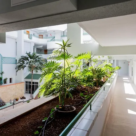 Апартаменты Palm Breeze Retreat - La Caleta *