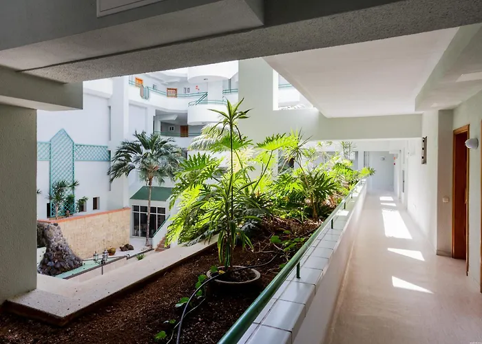 Daire Palm Breeze Retreat - La Caleta *